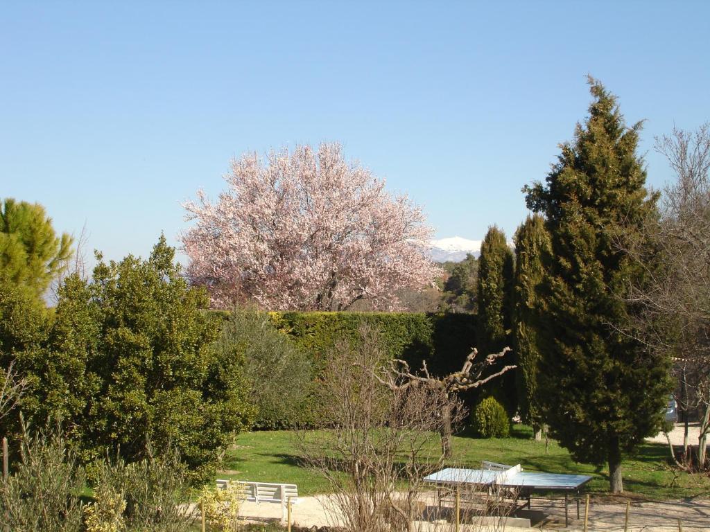 Domaine De La Grange Neuve La Roque-sur-Pernes Exterior foto